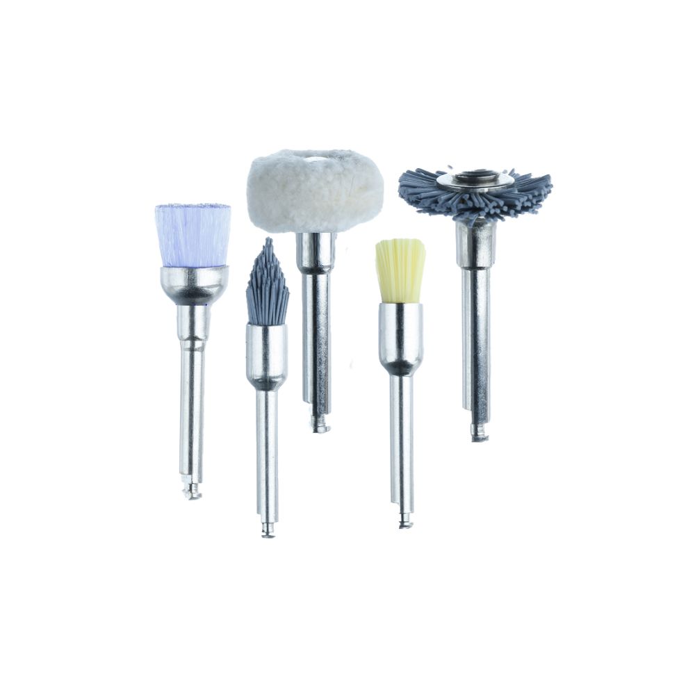 Prophy Brush