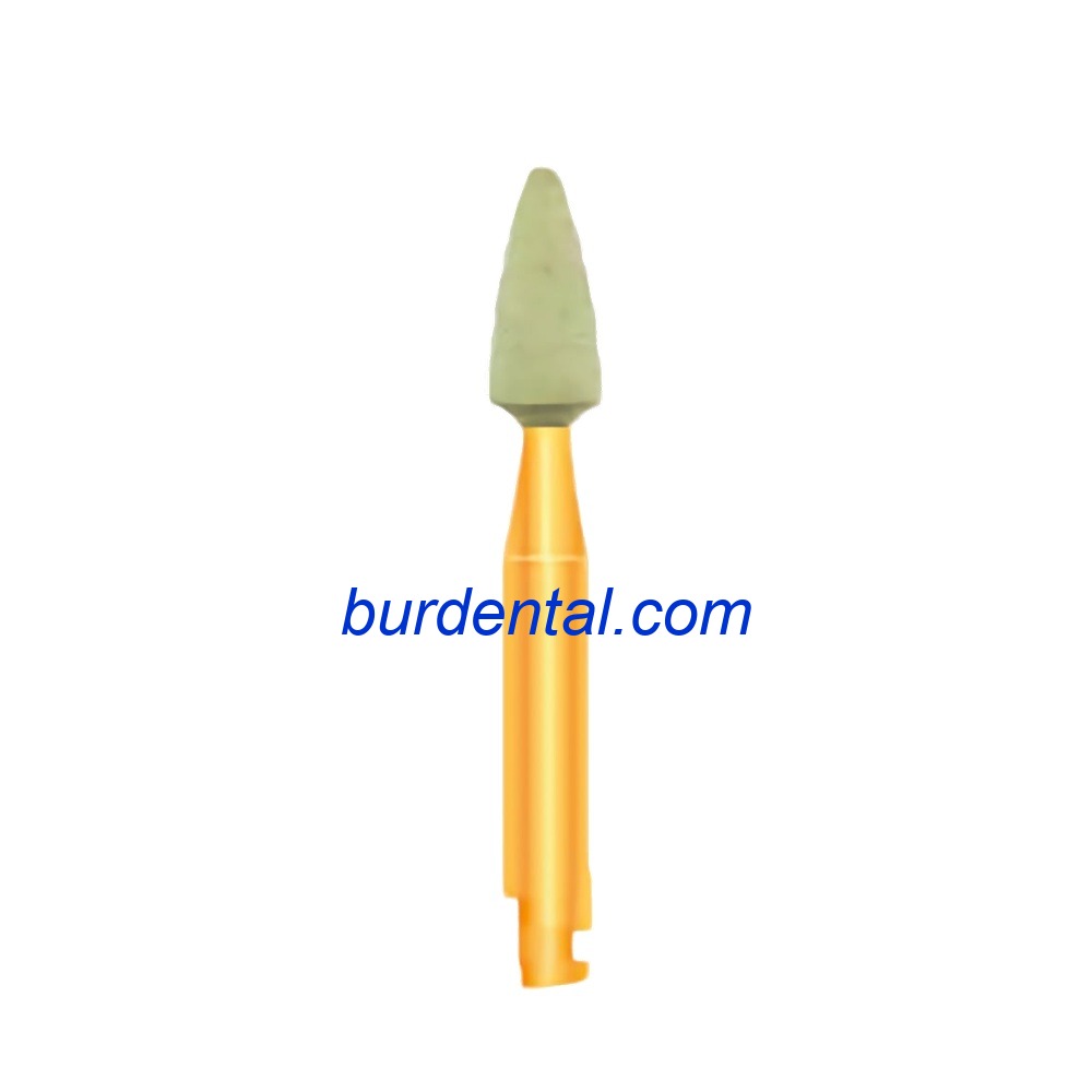 DCR101