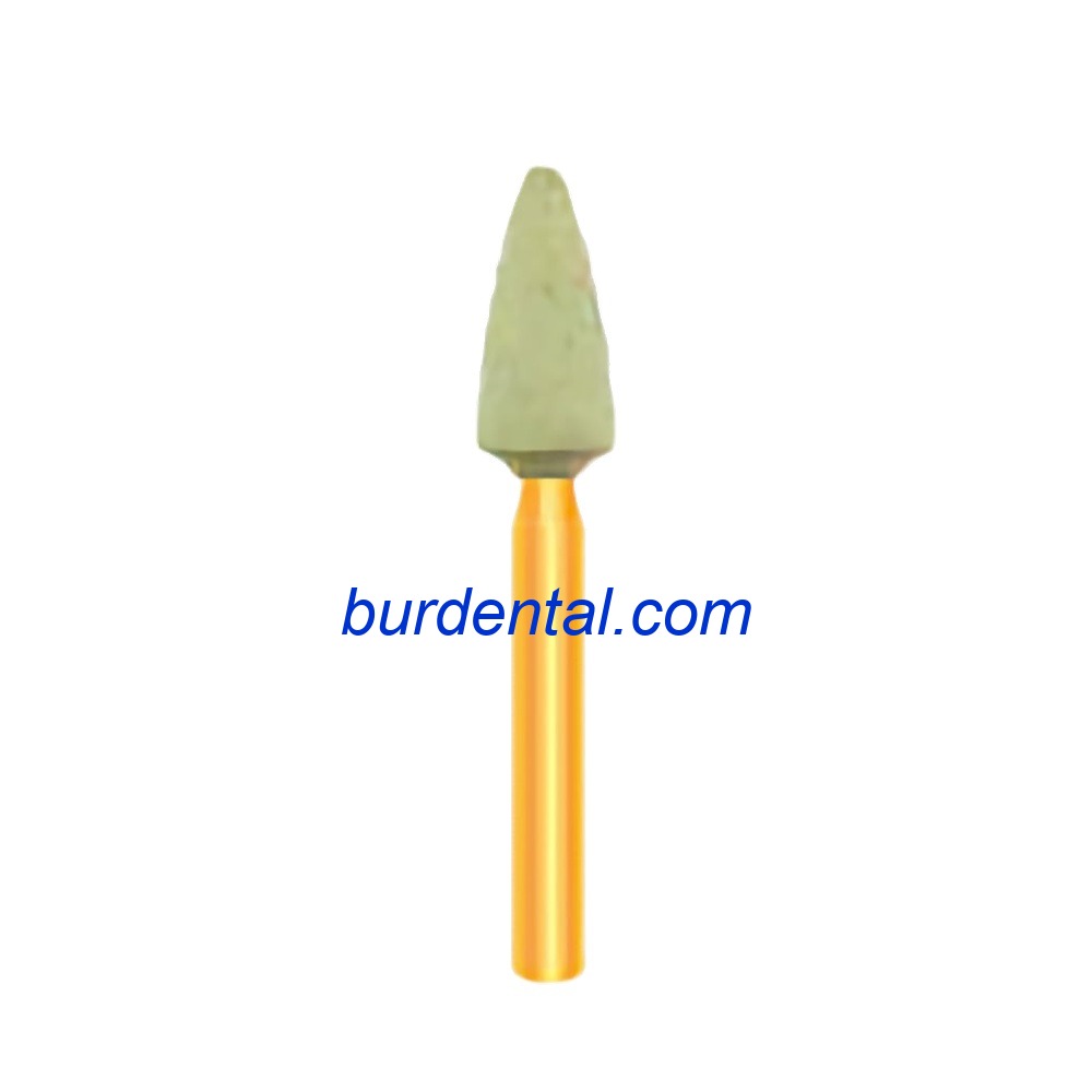 DCF101