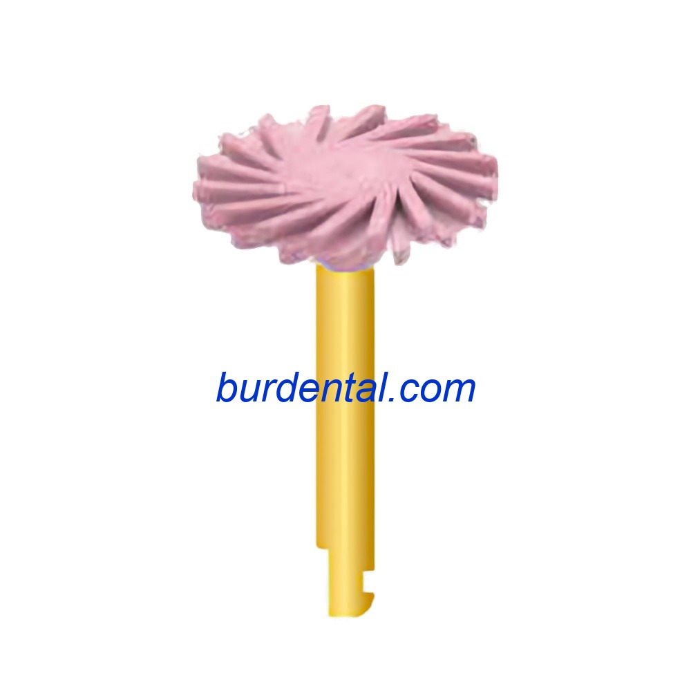 SR304F Diamond Rubber Polisher RA Fine grit