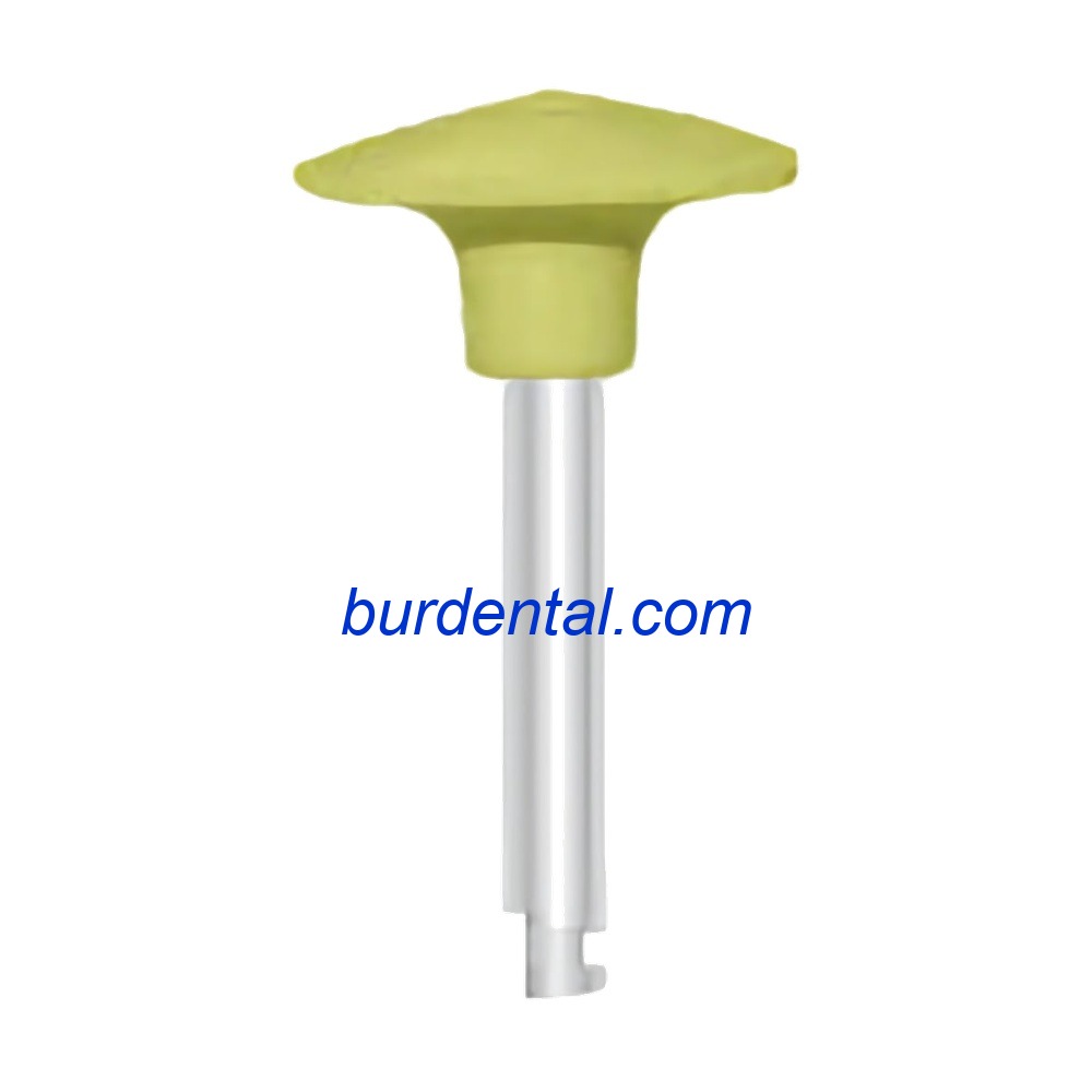 RR105F Silicone Polisher FG/RA RA Fine grit