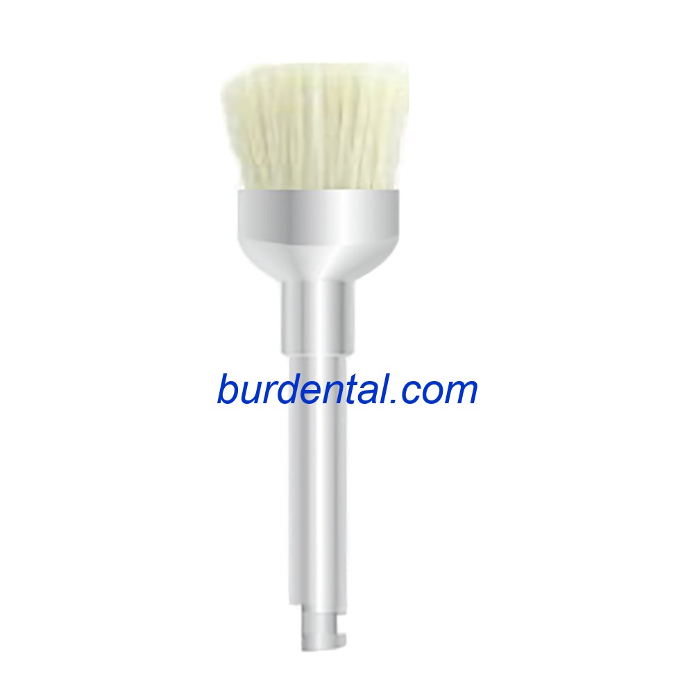 R4G Cup Polishing Brush RA RA