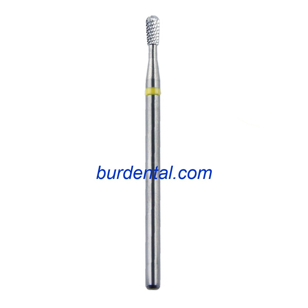 P023SFE