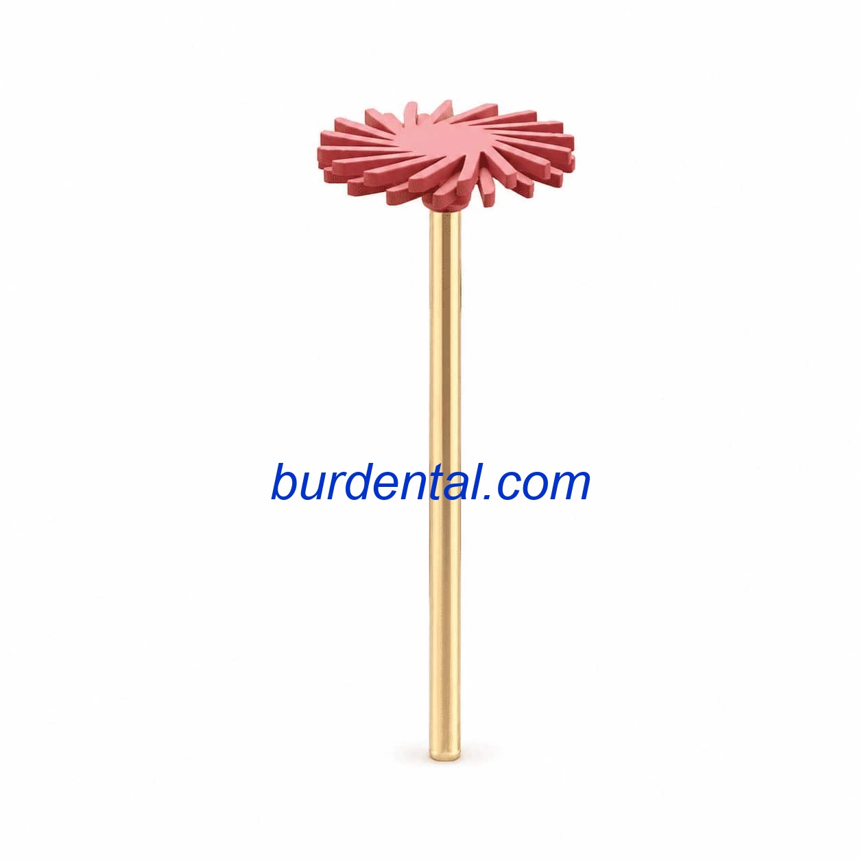 D17F Diamond Polisher Zirconia Diamond Polisher HP Fine grit