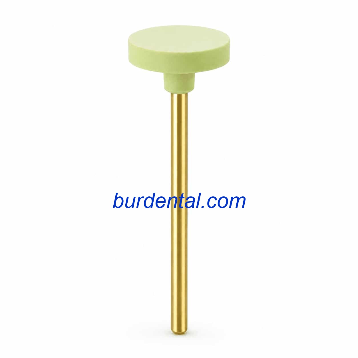 D205BEF