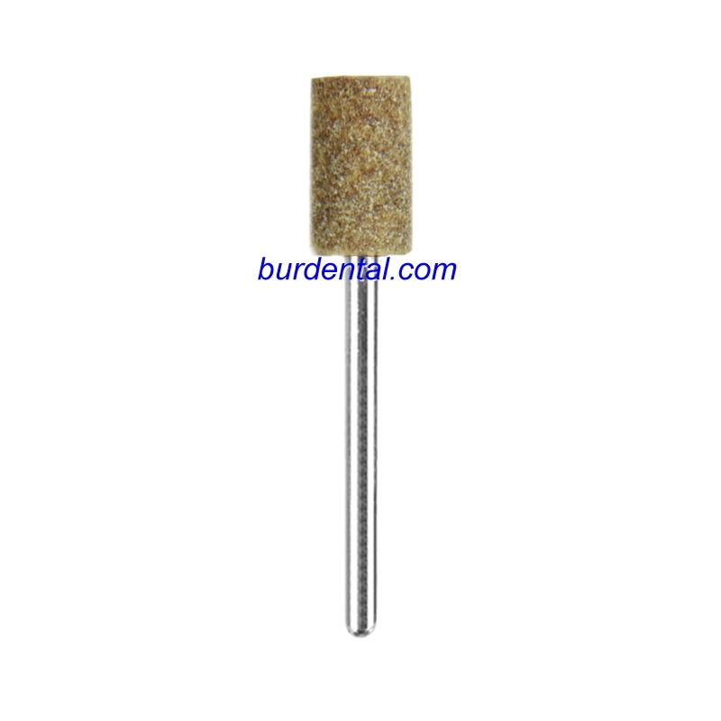 C-06 Mounted Stones | Burdental