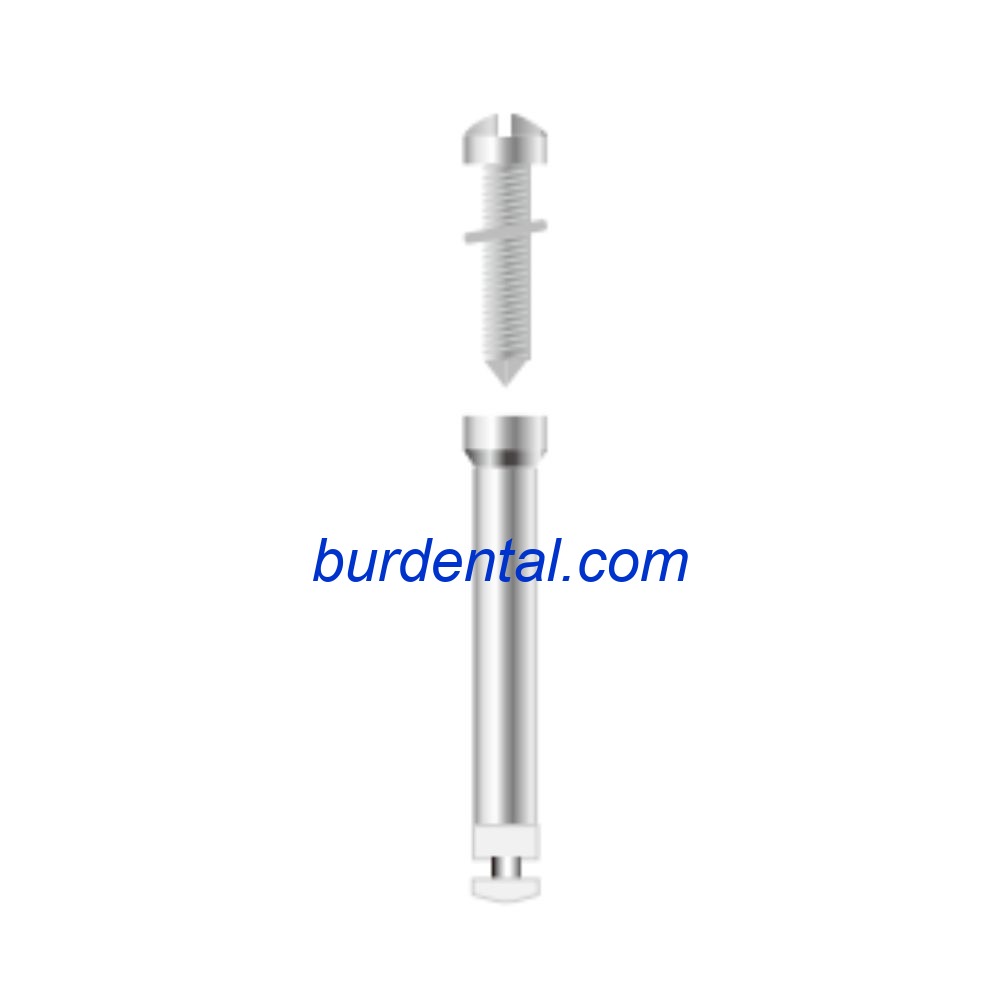 31RS Dental Mandrel RA