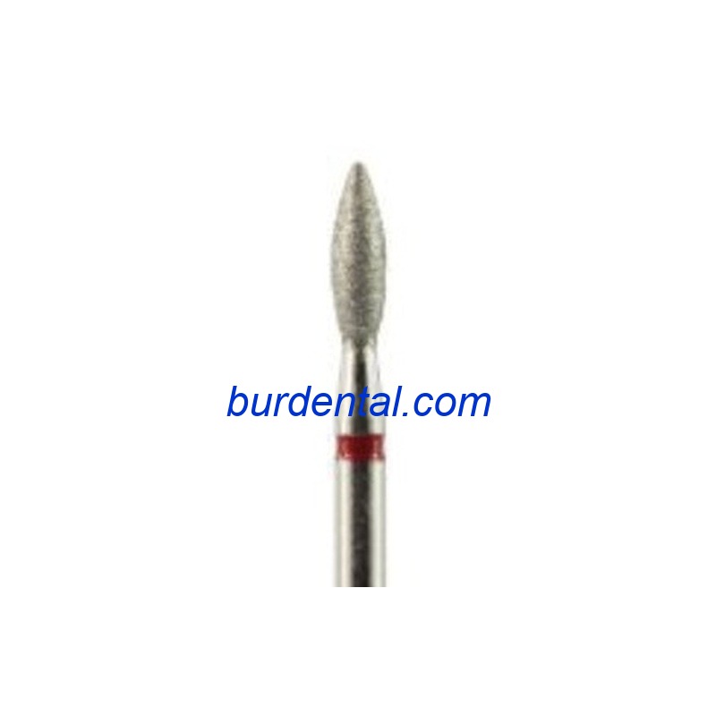 Diamond Burs for Nails  11R125F