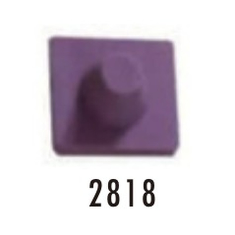 2818