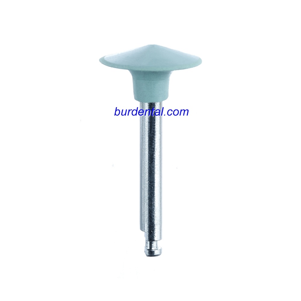AR105F Silicone Polisher FG/RA RA Fine grit