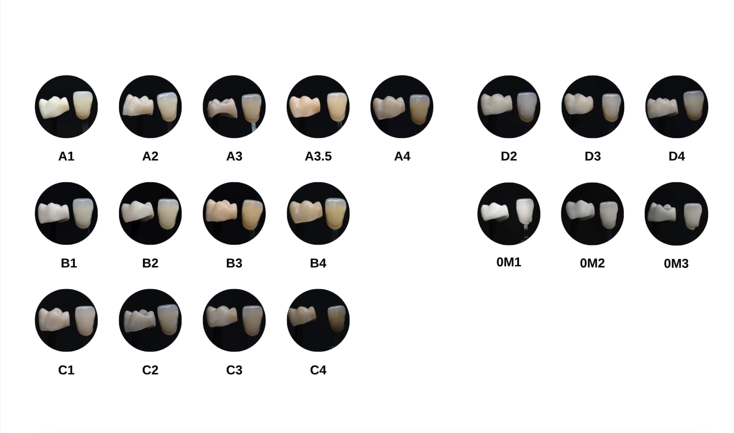 4D Pro Multilayer zirconia VITA shade reference