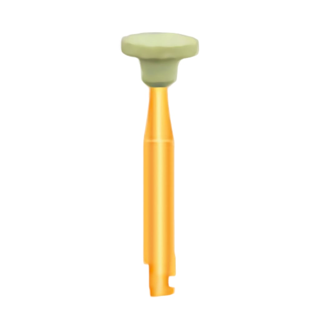Wheel Diamond Stones RA Low Speed Dental Clinic Burs for Wholesale